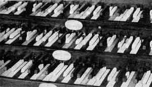 Thomas Perronet Thompson's organ